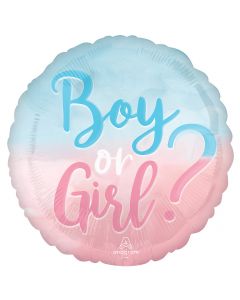 18Inc Boy? or Girl? Balloon Pkg - balloonsplaceusa